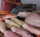Mercad&atilde;o do Cabo de Santo Agostinho.