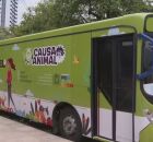 Castram&oacute;vel chega a Belo Jardim para realizar castra&ccedil;&atilde;o de c&atilde;es e gatos em outubro.