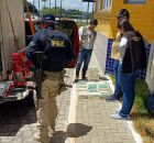 A fiscaliza&ccedil;&atilde;o constatou ainda que o motorista que transportava a carga n&atilde;o possu&iacute;a CNH.