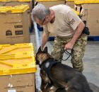 Opera&ccedil;&atilde;o usou c&atilde;o farejador para encontrar o material il&iacute;cito.