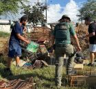 Agentes libertaram os animais e destru&iacute;ram diversas gaiolas no local.