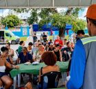 Castram&oacute;vel leva servi&ccedil;os a pets em Olinda