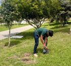 Plantio de mudas de ip&ecirc; no Parque da Cidade em Gravat&aacute;