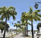 Cemit&eacute;rio no Recife.