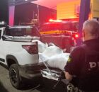 Homem &eacute; detido com 31 kg de maconha escondidos em fardos de ra&ccedil;&atilde;o na BR-232, em Sert&acirc;nia.