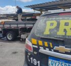 Pernambuco: PRF apreende cerca de 600 kg de queijo coalho sem refrigera&ccedil;&atilde;o na BR-232, em Tacaimb&oacute;.