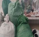 Pernambuco: casal &eacute; detido com mais de 56 kg de maconha na zona rural de Tuparetama.