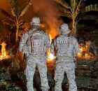 Pol&iacute;cia Militar prende seis homens e uma mulher em opera&ccedil;&atilde;o contra cultivo de maconha no Sert&atilde;o de Pernambuco.