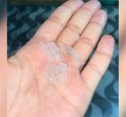 Fen&ocirc;meno ocorre em uma regi&atilde;o conhecida pelas temperaturas elevadas e pelo clima semi&aacute;rido.
