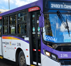 Linha de &ocirc;nibus do TI Camaragibe