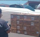 Urnas eletr&ocirc;nicas enviadas a Fernando de Noronha.