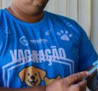 Vacinas c&atilde;es e gatos em Paulista.