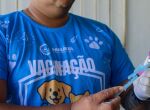 Vacinas c&atilde;es e gatos em Paulista.