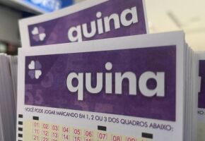 Cart&atilde;o da quina.