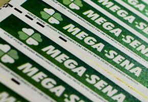 Cartelas da Mega-Sena juntas.