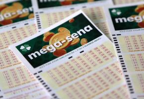 Cartelas da Mega-Sena juntas.