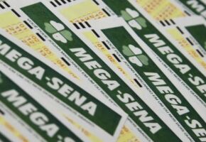 Cartelas da Mega-Sena juntas.