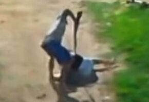 Momento em que home agride mulher &agrave; coronhadas com espingarda.