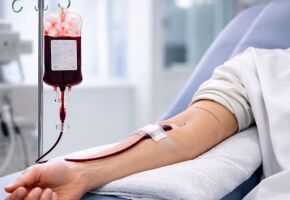 Doa&ccedil;&atilde;o de sangue para pessoas com mais de 70 anos &eacute; liberada