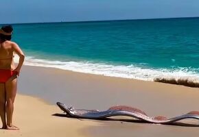 "Peixe do fim do mundo" &eacute; visto no M&eacute;xico 