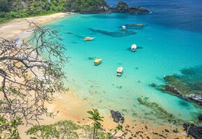 Local &eacute; para&iacute;so restrito no territ&oacute;rio pernambucano.