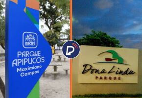  Parque de Apipucos, na Zona Norte, e do Parque Dona Lindu, na Zona Sul do Recife.