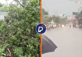 Preju&iacute;zos no munic&iacute;pio do Paulista. 