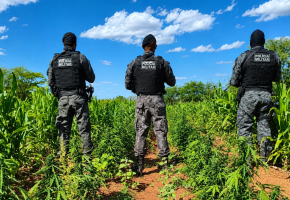 Opera&ccedil;&atilde;o da Pol&iacute;cia Militar de Pernambuco.