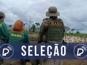 Sele&ccedil;&atilde;o do Ibama. 