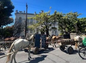 Carroceiros protestando no Centro do Recife.