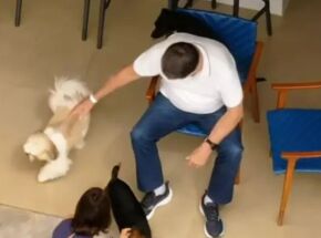 Bolsonaro &eacute; flagrado brincando com c&atilde;es ap&oacute;s receber alta e iniciar pris&atilde;o domiciliar