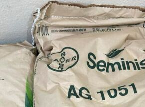 Prefeitura de Abreu e Lima come&ccedil;a a distribui&ccedil;&atilde;o das sementes de milho e adubo.