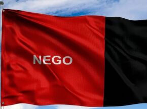 Bandeira da Para&iacute;ba.