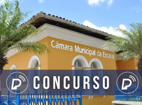 C&acirc;mara de Escada. 