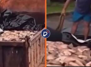 Prefeitura distribui peixe da Semana Santa para popula&ccedil;&atilde;o em ca&ccedil;amba.