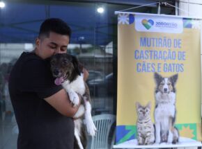Mutir&atilde;o de castra&ccedil;&atilde;o de pets em jaboat&atilde;o
