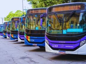 &Ocirc;nibus.