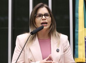 Clarissa T&eacute;rcio, deputada federal