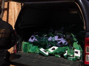 A Pol&iacute;cia Federal realizou, nesta quinta-feira, 6 de agosto, a incinera&ccedil;&atilde;o de aproximadamente 500 quilos de coca&iacute;na. 