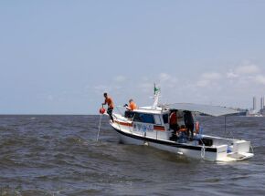 Monitoramento cient&iacute;fico de tubar&otilde;es no litoral da Regi&atilde;o Metropolitana do Recife.