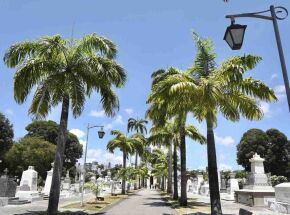 Cemit&eacute;rio no Recife.