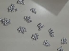 Drogas encontradas em mochila escolar de crian&ccedil;a em Belo Jardim
