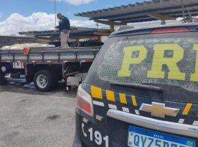 Pernambuco: PRF apreende cerca de 600 kg de queijo coalho sem refrigera&ccedil;&atilde;o na BR-232, em Tacaimb&oacute;.
