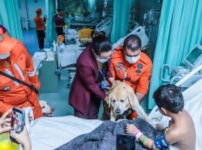 Ap&oacute;s 29 dias na UTI, menina de 6 anos recebe visita de c&atilde;es dos Bombeiros em Paulista.