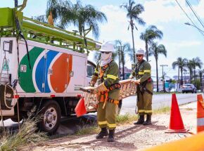 Neoenergia realiza a&ccedil;&atilde;o contra roubo de energia
