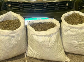 POL&Iacute;CIA MILITAR APREENDE MAIS DE 20 KG DE MACONHA NO SERT&Atilde;O 