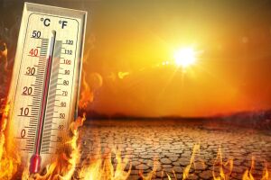 Temperatura em alta.