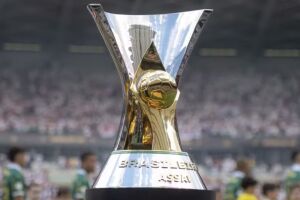 Trof&eacute;u do Brasileir&atilde;o.