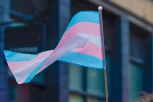 Bandeira trans