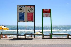 Placas de tubar&atilde;o em praia de Pernambuco.